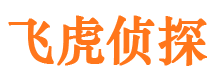 安岳市场调查